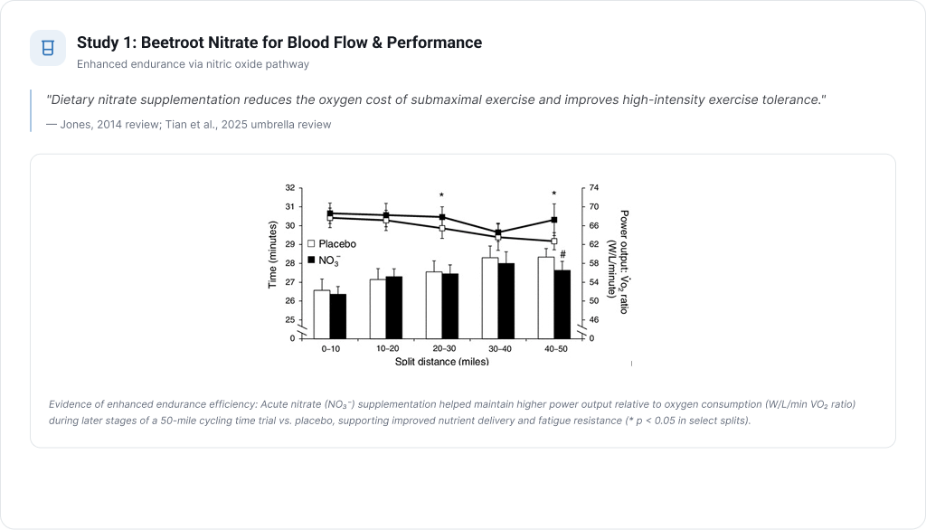 Study 1: Beetroot Nitrate for Blood Flow & Performance