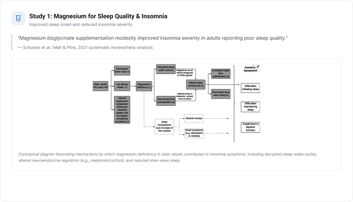 Study 1: Beetroot Nitrate